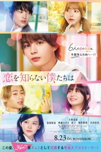 Мы ничего не знаем о любви